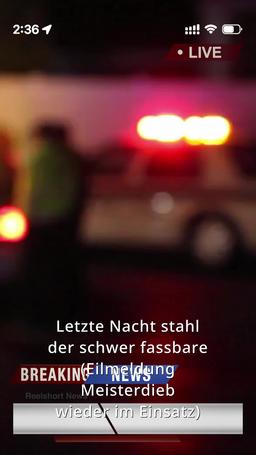 Frau Detektivin und Herr Dieb episode 1