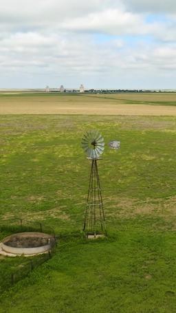 Daisy Tucker et M. NYC episode 1