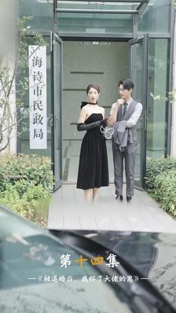 被退婚後，我懷了大佬的崽 episode 14