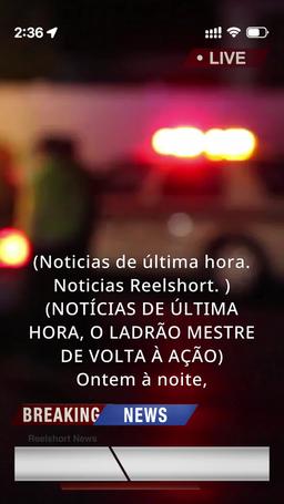 Sra. Detetive e Sr. Ladrão episode 1