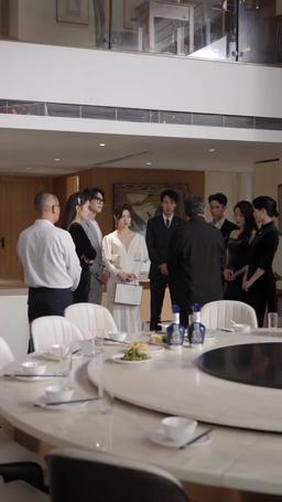 雲小姐收手吧江總知錯了 episode 33