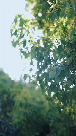 계약 남녀 episode 46
