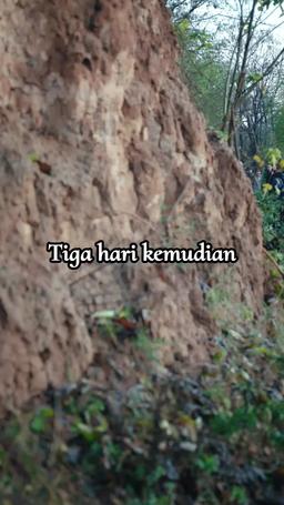 Ternyata Pemilik Kost-ku Adalah Master Legendaris! episode 8