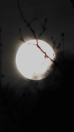 원수의 이끌림 episode 28