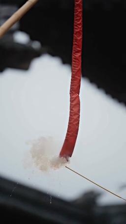 Wiedergeboren, um zu rächen episode 9
