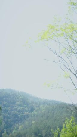 今日宜大婚 episode 58