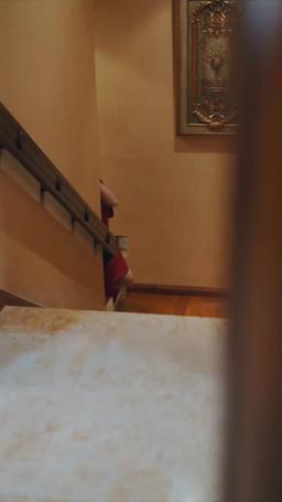 傅先生別追了大小姐是假的 episode 15