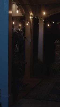 Meu Poderoso Rei da Máfia episode 33