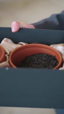 逆襲の婿入り episode 41