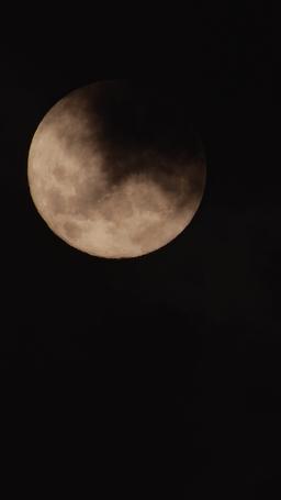 Ratu Serigala Bangkit dari Abu episode 1