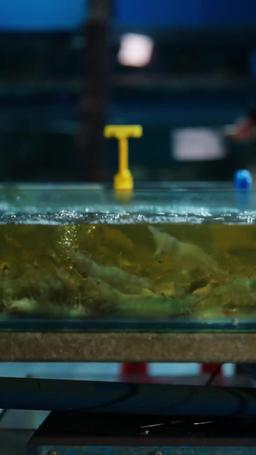 เรื่องราวหลังการหย่า episode 1