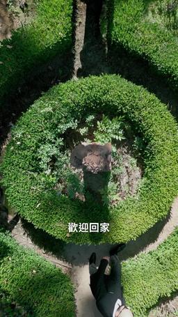 乖乖認輸吧 trailer
