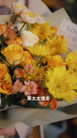 厲總的籠中雀 episode 1