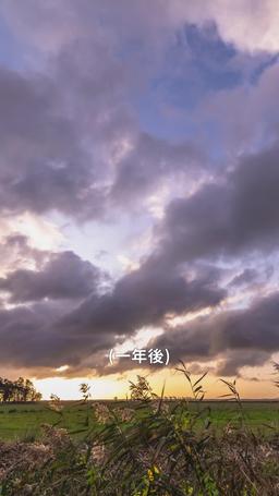 愛という名の投げ縄で episode 86