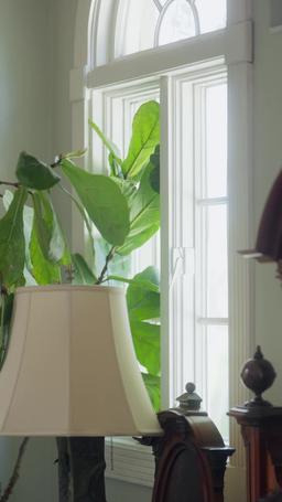 Triplés inattendus pour un milliardaire episode 14
