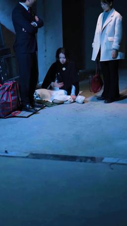 惡毒女婿別惹我 episode 72