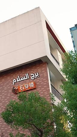 اختيار الشريك المناسب بعد العودة إلى الحياة episode 63