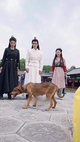 廢子奪嫡之強龍歸來 episode 20
