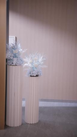 フラれた令嬢がお兄様に溺愛される episode 49