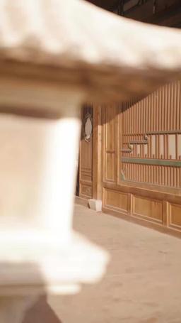 將軍回鄉 episode 7
