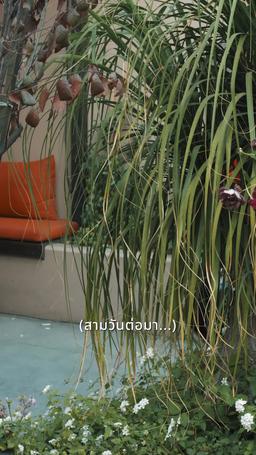 รักสุดท้ายมาสายไป episode 41