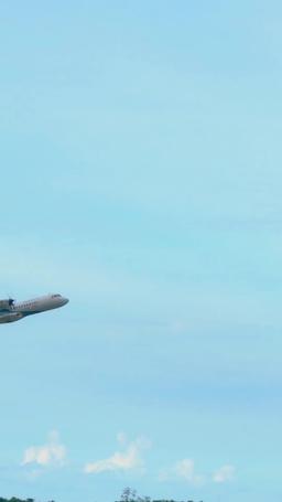Reborn to Fly episode 10