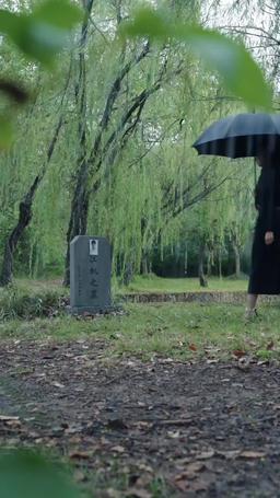 顧總傻了吧你才是替身 episode 28