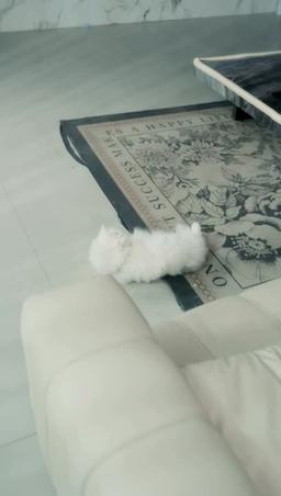 (พากย์) การแก้แค้นของ เจ้าหญิงนิทรา episode 19