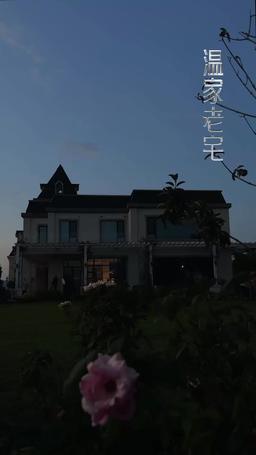 龍崽崽三歲半新年送福到 episode 25