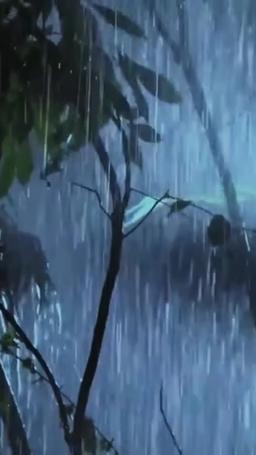 寄思念於晚星 episode 1