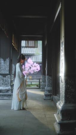 The Throne's Forbidden Love episode 18