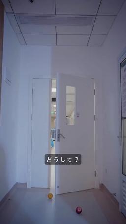 運命のいたずら、替え玉って 誰！ episode 41