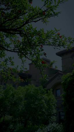 離婚後，司少追妻火葬場 episode 40