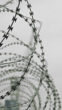 الحياة المزدوجة لزوجي الملياردير episode 2