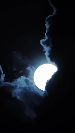 เจ้าสาวเงียบของอัลฟ่า ที่ถูกสาป episode 54