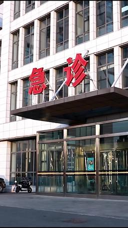 顧總傻了吧你才是替身 episode 63