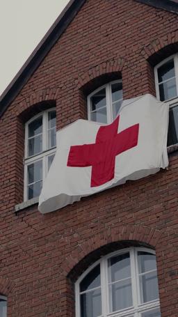 Königlicher Erbe, gebrochenes Herz im Krieg episode 18