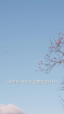 모르는 사람과 결혼했습니다 episode 1