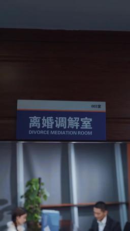 離婚後我成大佬心尖寵 episode 38