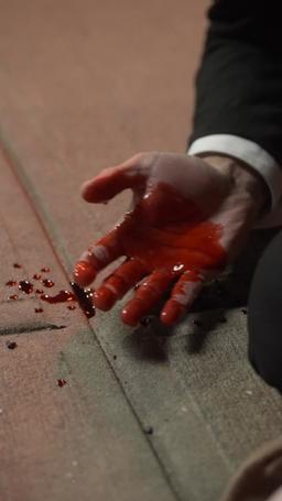 Rules of Protection: The Bodyguard I Hate episode 60