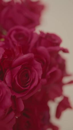 Amor Acelerado episode 57