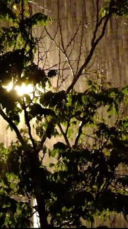 A Relationship Kept in The Dark episode 17