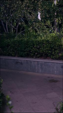 豪門厲總的屠戶夫人 episode 47