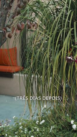 Quando o Amor Chega Tarde episode 41